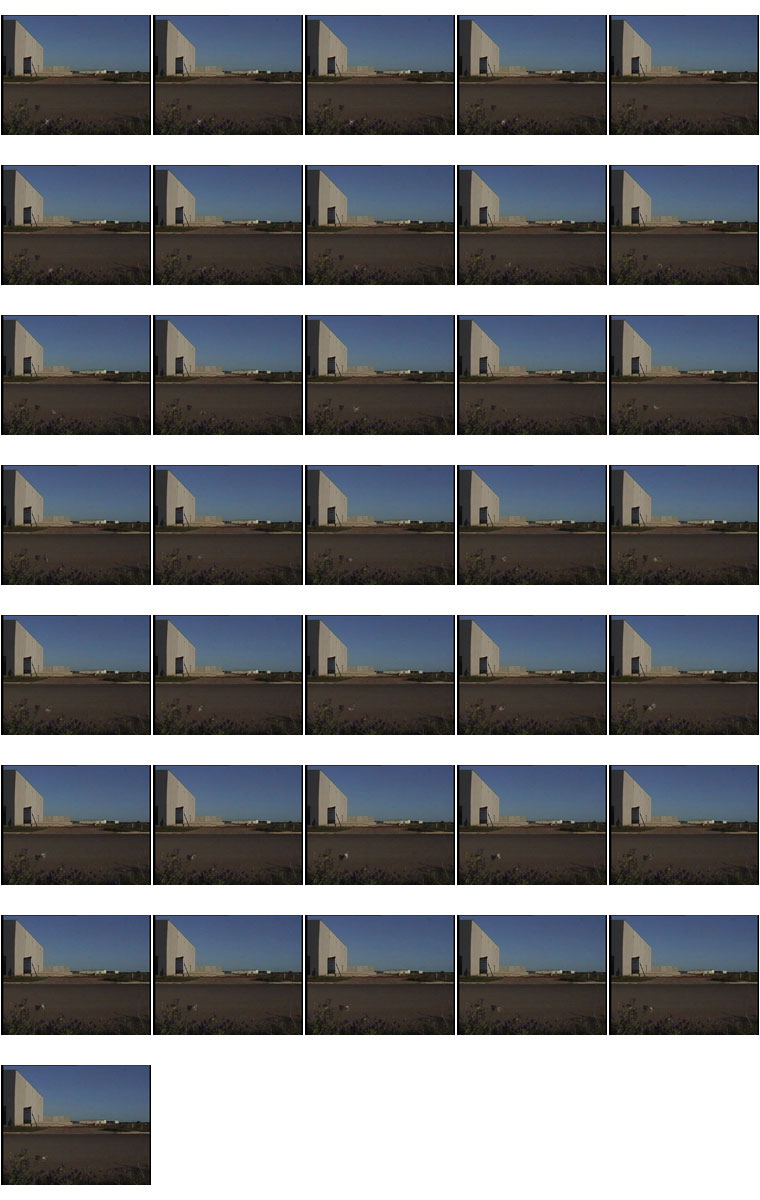 36 Frames from Still Life 01 video