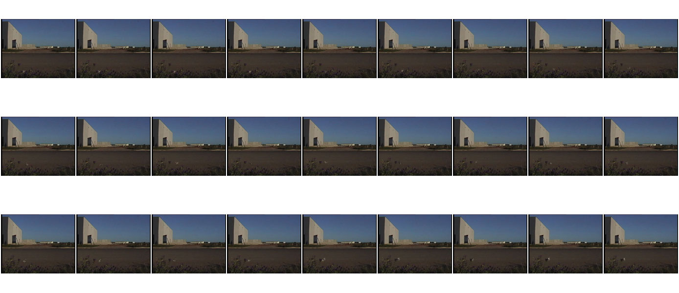 36 Frames from Still Life 01 video